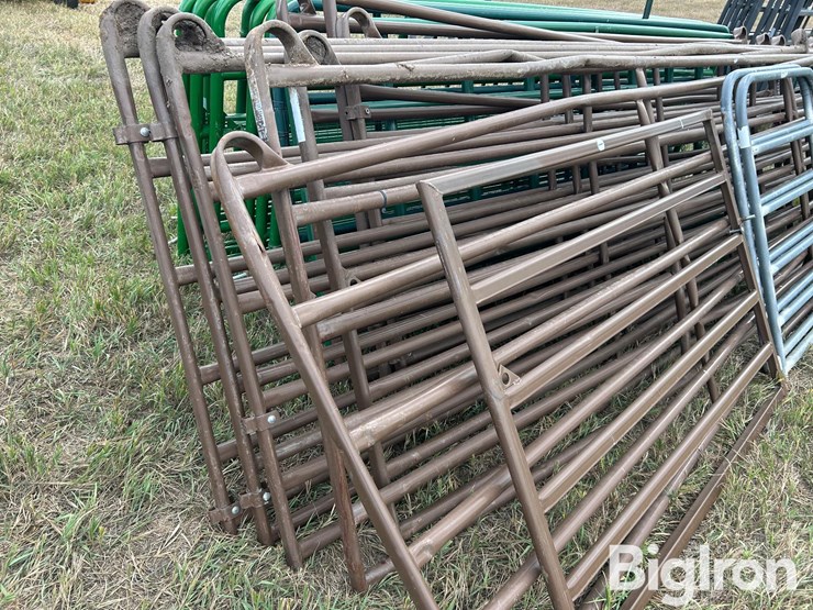 livestock-gates-image-19
