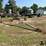 hutchinson-mayrath-53’-grain-auger-image-3