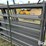 hw-livestock-panels-&-arched-gate-image-15