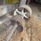 lineshaft-image-7