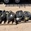(4)-flanged-6”-lay-flat-hoses-image-1