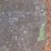 wayne-gas-pump-image-6