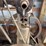 troy-engberg-engine-image-11