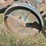 buffalo-springfield-ripper-image-6