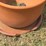 #104-•-17-inch-terra-cotta-pot-fluted-top-image-2