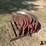 case-ih-88-series-combine-wheat-concaves-image-6