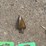 #97-•-crescent-ridge,-crescent-nicholson-file,-new-products-image-6