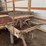 wagon-image-9