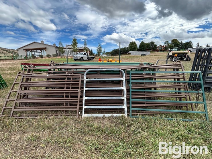 livestock-gates-image-6