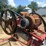 hutchinson-30’-auger-image-16