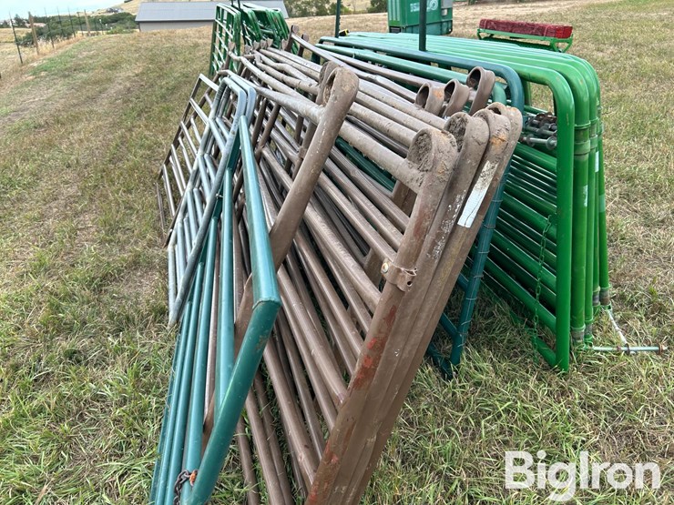 livestock-gates-image-15
