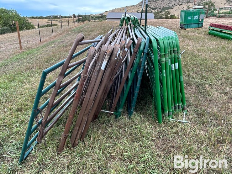 livestock-gates-image-4