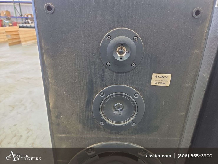(2)-blown-sony-ss-u581av-speakers-image-6
