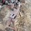 milford-band-saw-image-2