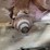 meadowns-mill-image-9