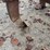 international-ripper-image-7