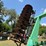 1996-deutz-allis-v2500d-disk-image-20