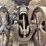 associated-2hp-gas-engine-image-12