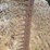 international-no-9-sickle-mower-image-5