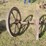 flywheels-image-2