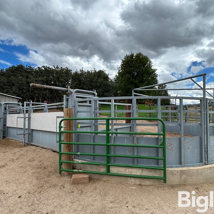 Silencer Max Squeeze Chute W/Alley & Crowd Tub