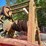 winch-image-1
