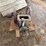 associated-2hp-gas-engine-image-4