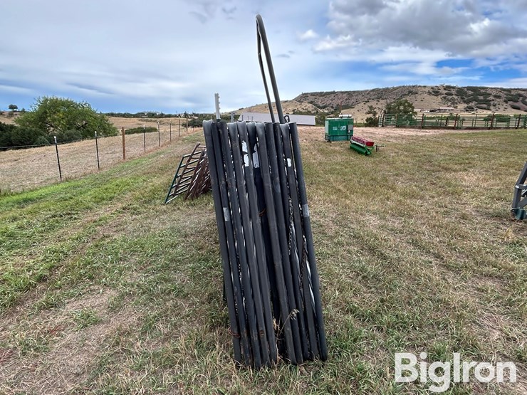 hw-livestock-panels-&-arched-gate-image-4