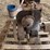 new-way-engine-image-9
