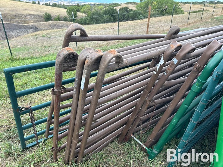 livestock-gates-image-14
