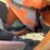 #7-•-doosan-dl250-articulated-wheel-loader-image-5