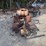 new-idea-transplanter-image-7