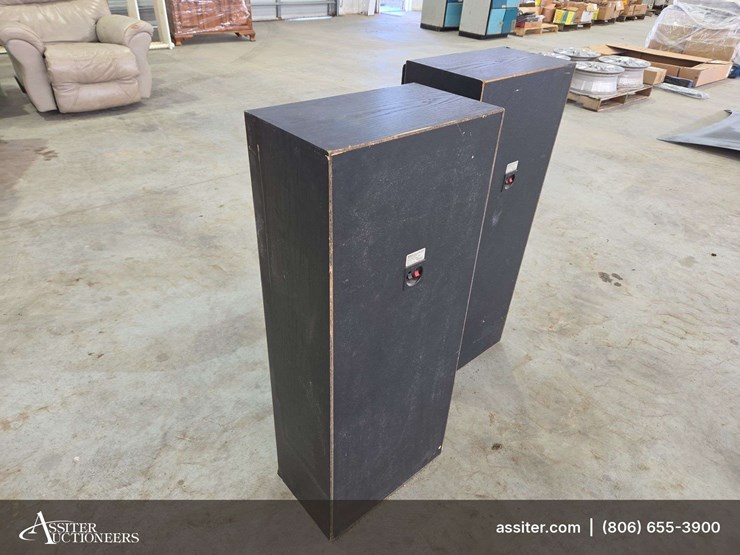 (2)-blown-sony-ss-u581av-speakers-image-3