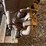 crossley-phc60-compressor-engine-image-5