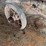 wagon-image-11