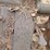 international-no.-7-sickle-mower-image-9