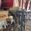 troy-engberg-engine-image-14