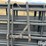 hw-livestock-panels-&-arched-gate-image-12