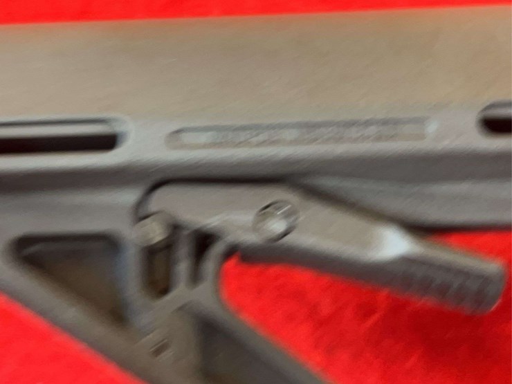 palmetto-letsgo-15-5.56-semiauto-rifle-image-20
