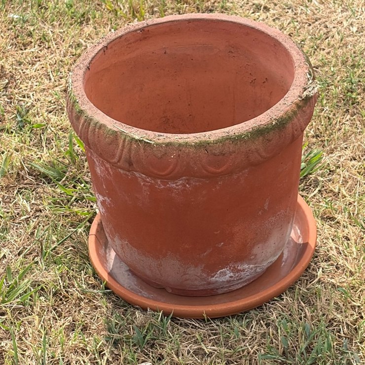 #106 • 12 inch terra-cotta pot, Greco lip and saucer