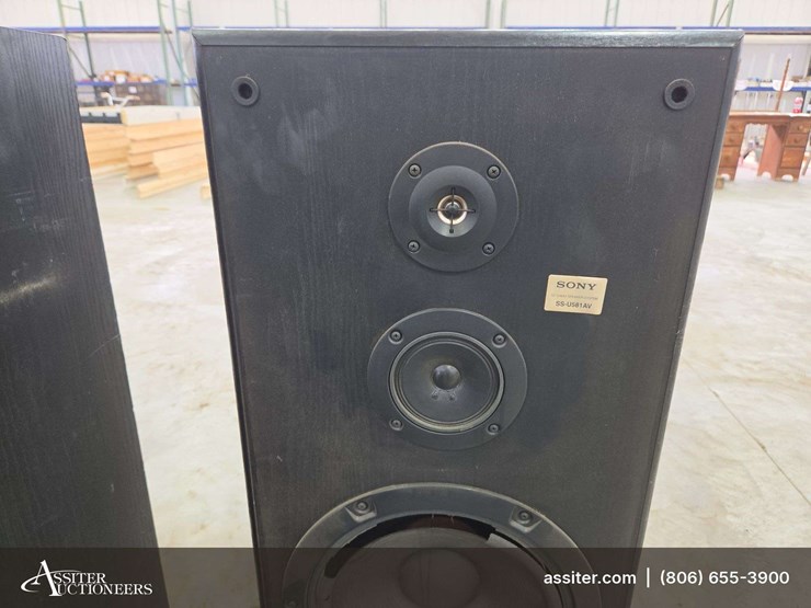 (2)-blown-sony-ss-u581av-speakers-image-8