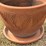 #105-•-17-inch-decorative-terra-cotta-pot-with-saucer-image-2