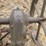 international-no.-7-sickle-mower-image-7