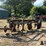 oliver-semi-mounted-4-bottom-plow-image-2