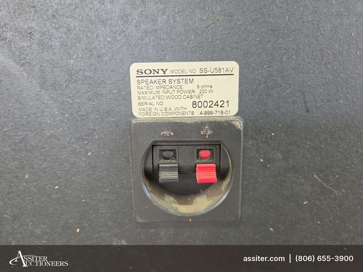 (2)-blown-sony-ss-u581av-speakers-image-10