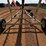 #124-•-farm-king-cx841-grain-auger-image-6