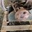 crossley-phc60-compressor-engine-image-14