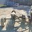 oliver-414-sickle-mower-image-4