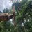 franklin-logger-image-13