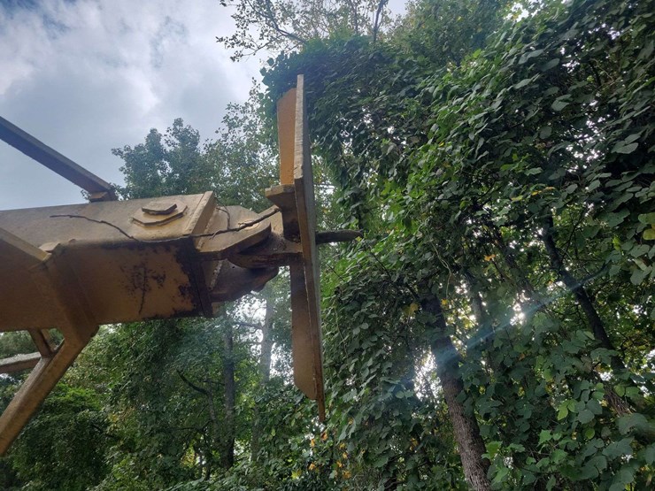 franklin-logger-image-13